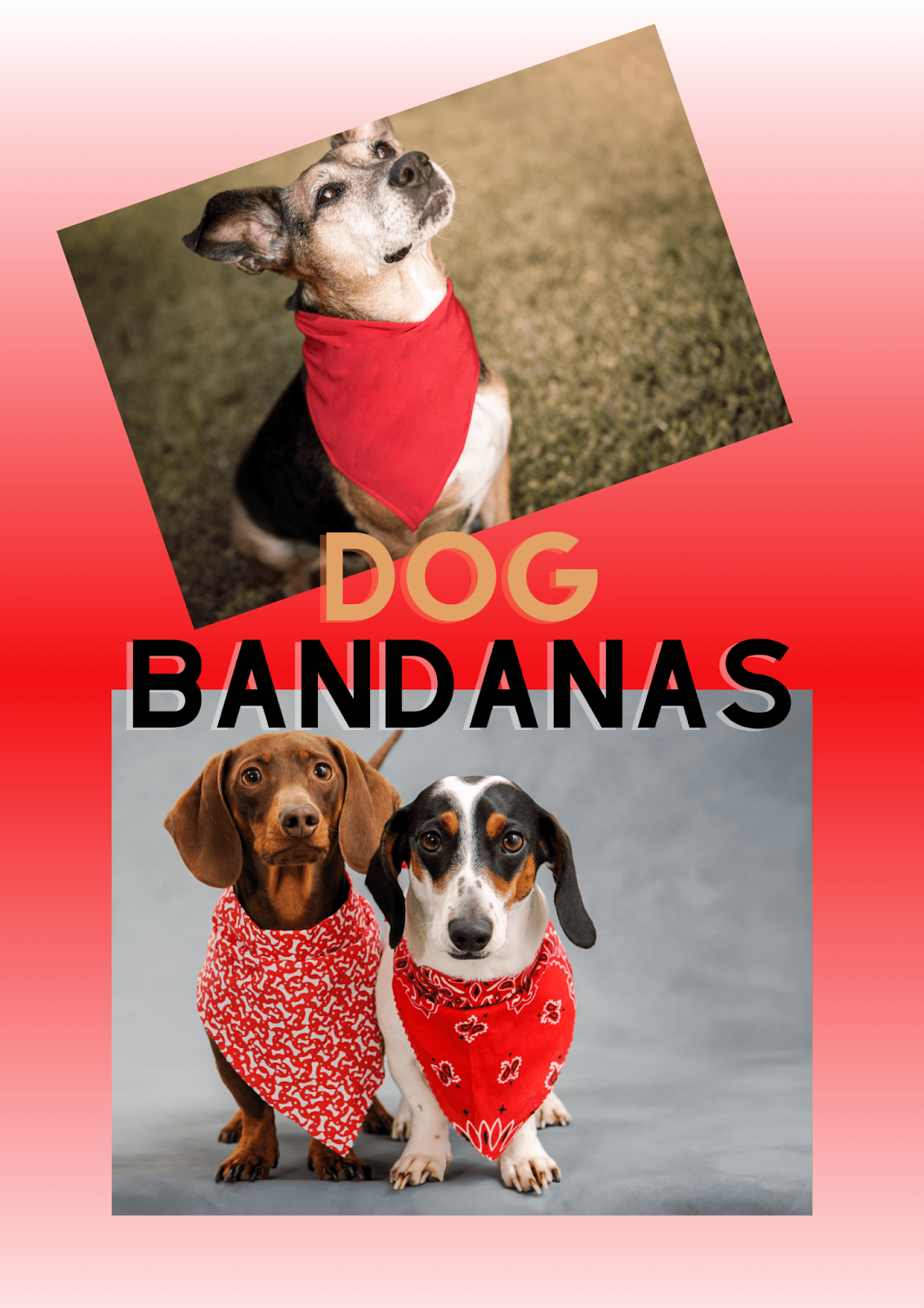 how to make dog bandanas