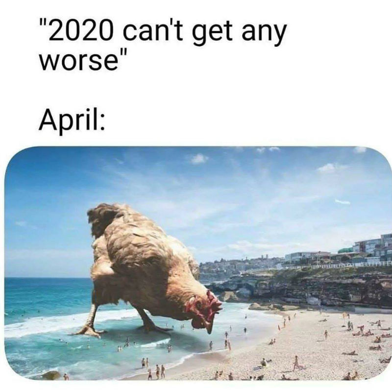2020 Can't Get Any Worse April - Meme - Shut Up And Take My Money