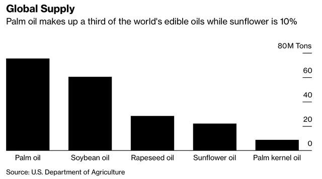 Dầu cọ chiếm 1/3 dầu ăn được sử dụng trên toàn thế giới, trong khi dầu hướng dương chiếm 10%.