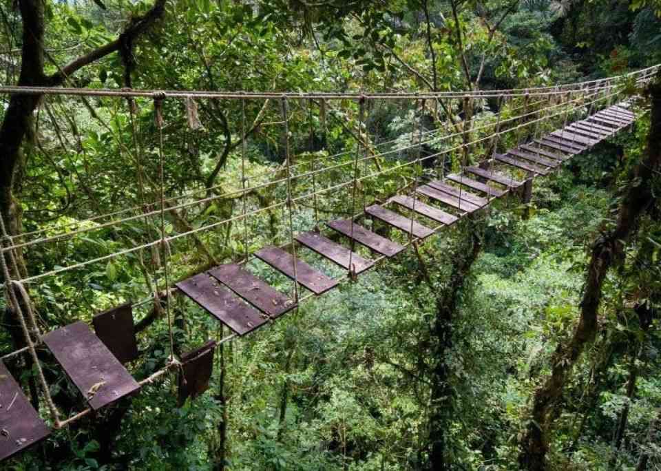 Montenegro Rainforest Bridge, Costa Rica Scariest bridges in the world