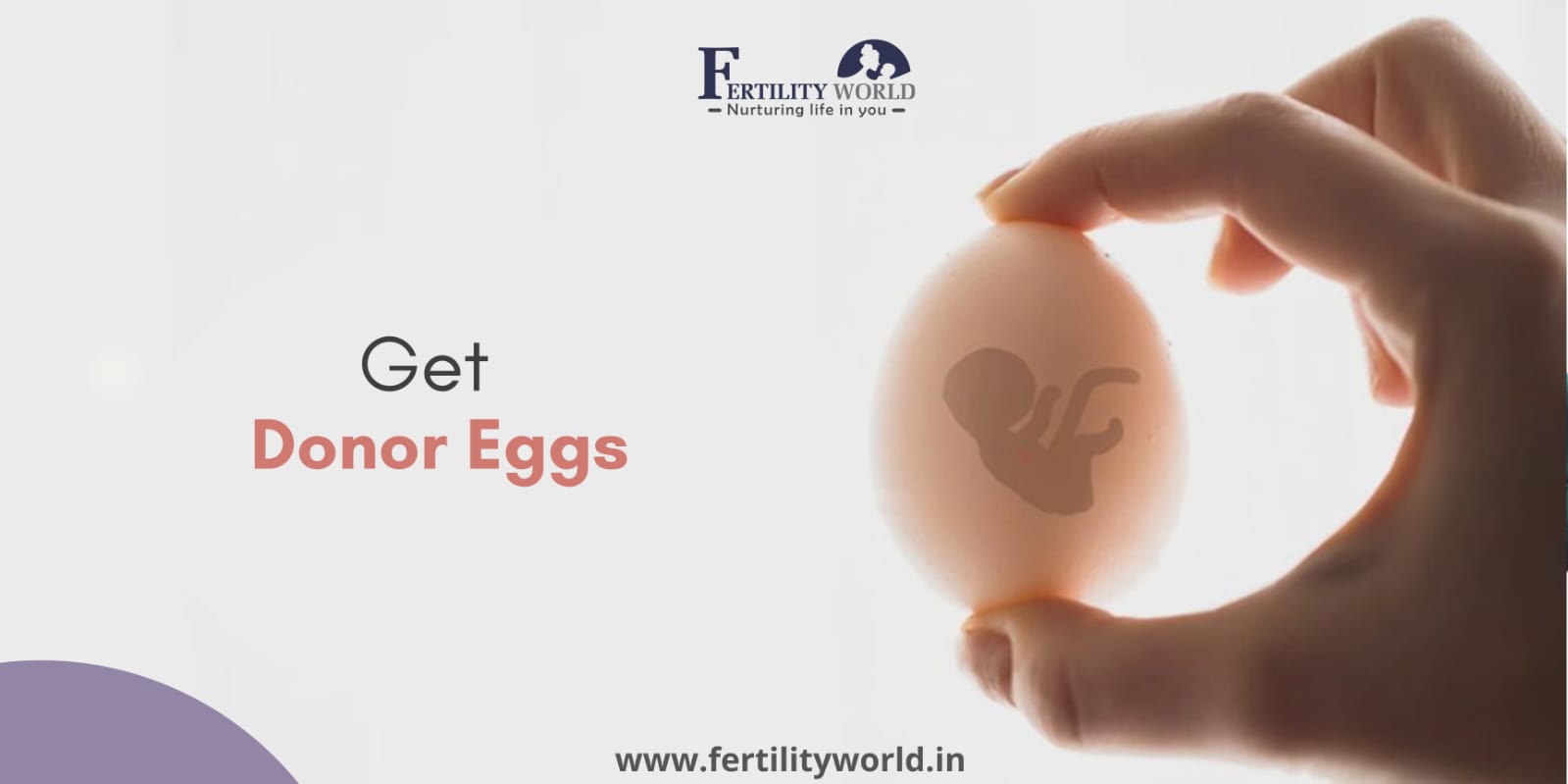 Egg donation in India 