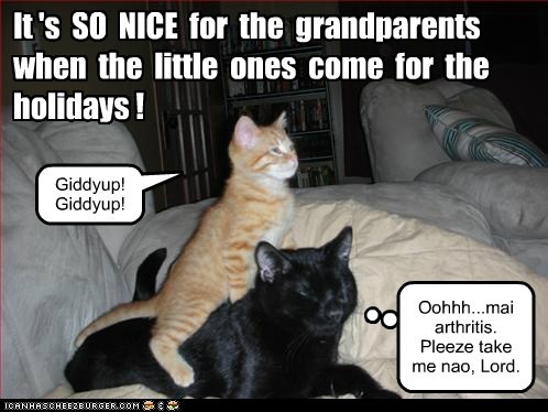 ride,arthritis,annoying,kids,captions,giddyup,hyper,Grandpa,grandparents,Cats