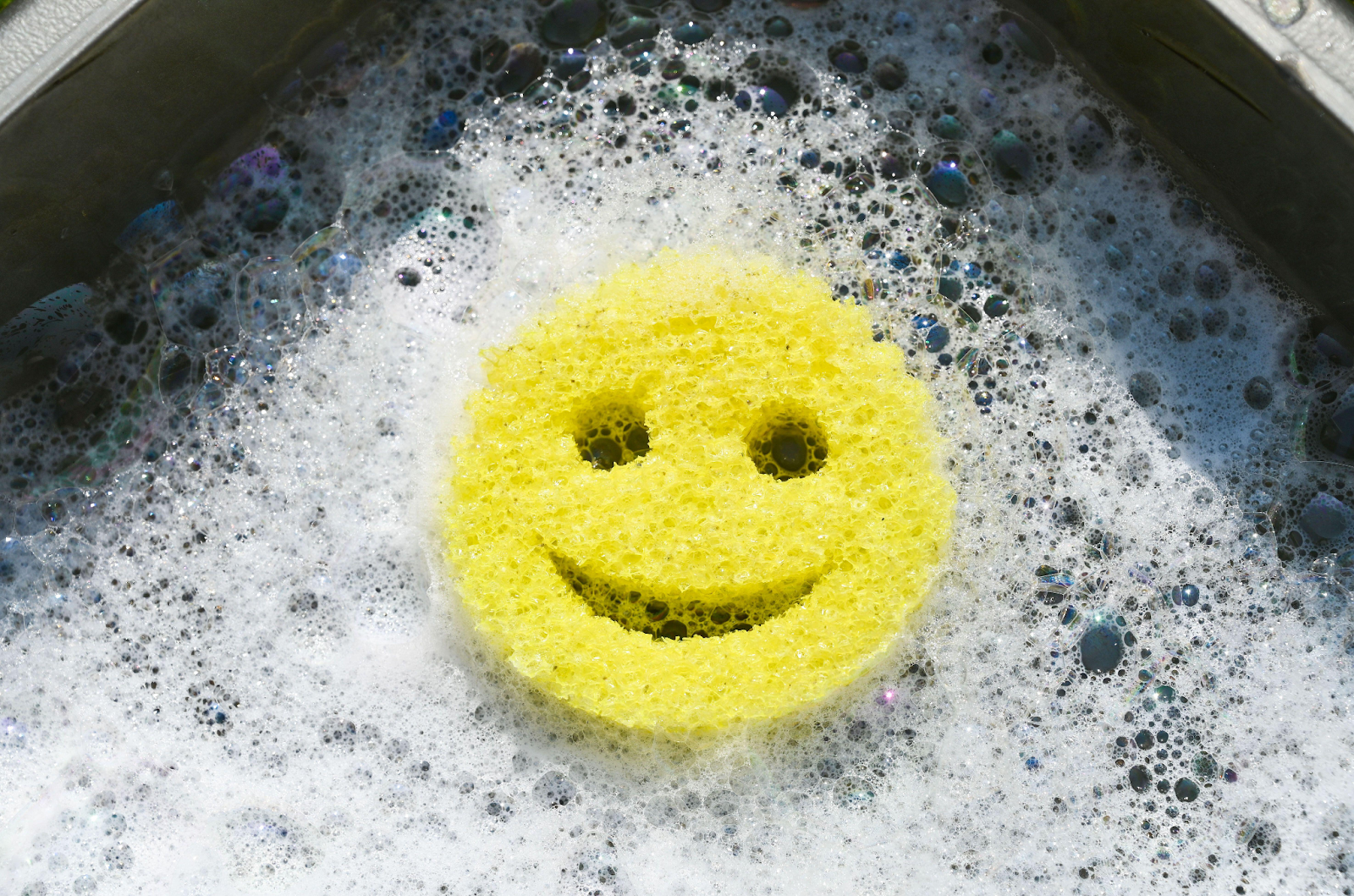 scrub daddy sponge in foam