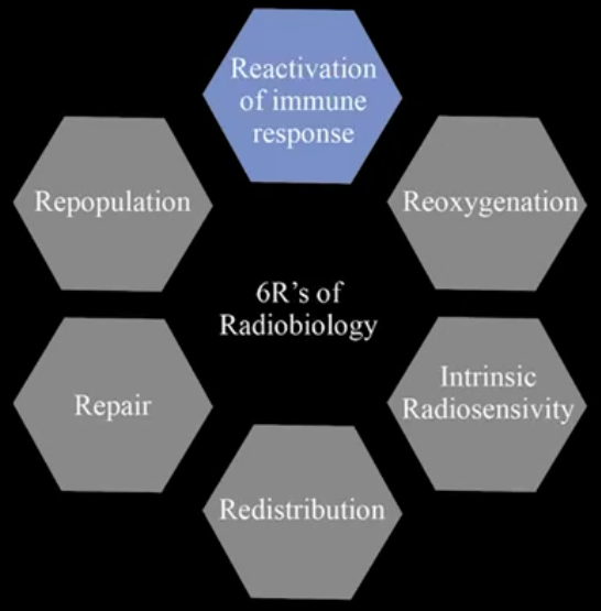 6 R's of Radiobiology