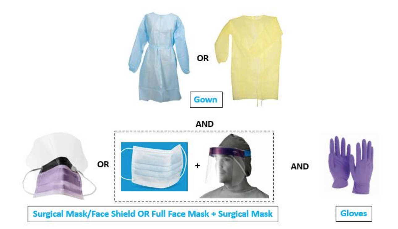 Examples Include Gloves Gowns and Face Shields