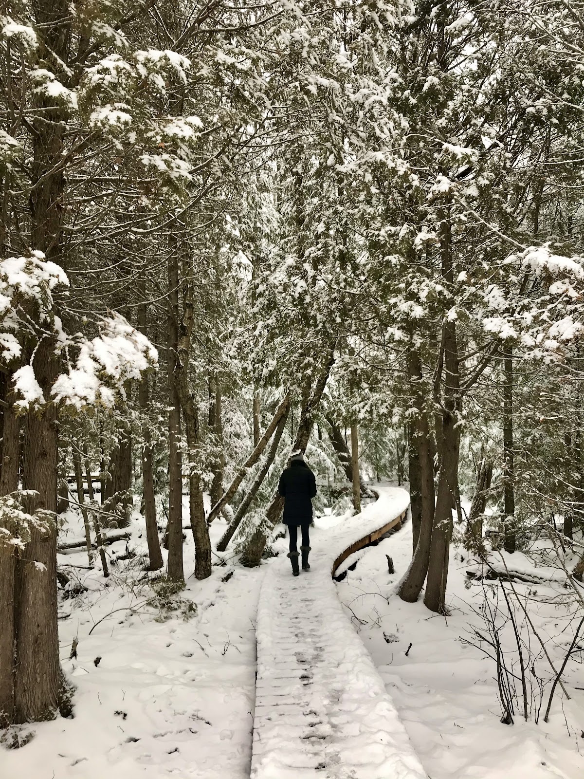 winter hikes muskoka