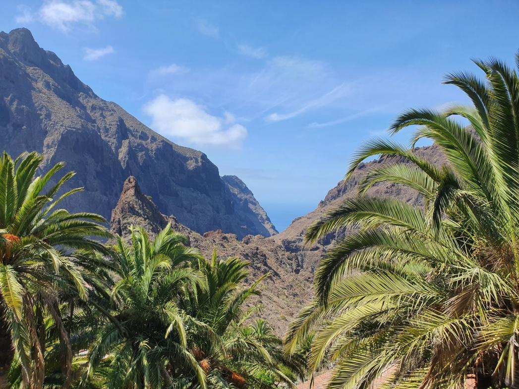 D:\Pictures\Photos\TENERIFE PHOTOS\Favs\20190907_120330.jpg