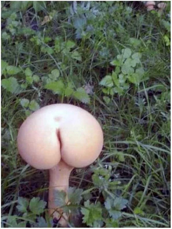 https://lh5.googleusercontent.com/mU91UaNJ-eHJ_Li2KjWgyCtbJ7U4bEAAjR3eHC2qUkK1y88CM0HZ22zCf7LZyrj05drHJn3oYSHcFamriO7FQMP54xkKRPJ_5YUdGG2EGq5eq3IPWGrivVD4q_JdbPCV_8RFjTfYgyEUjjatGsx4bA