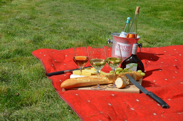 a picnic on a lawn - things to do while camping
