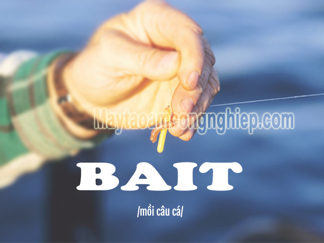 Ý nghĩa của bait là gì trong tiếng Anh?