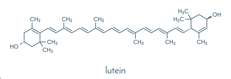 Lutein là gì? Cách sử dụng Lutein an toàn?.1