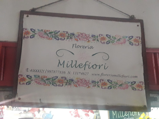 Comentarios y opiniones de Florería Millefiori