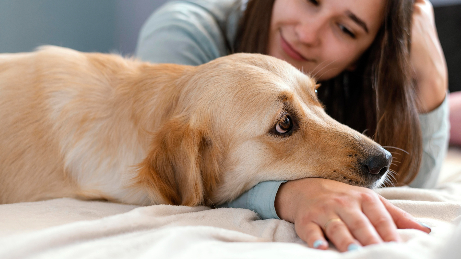 Allergies are some of the most common autoimmune diseases in dogs.