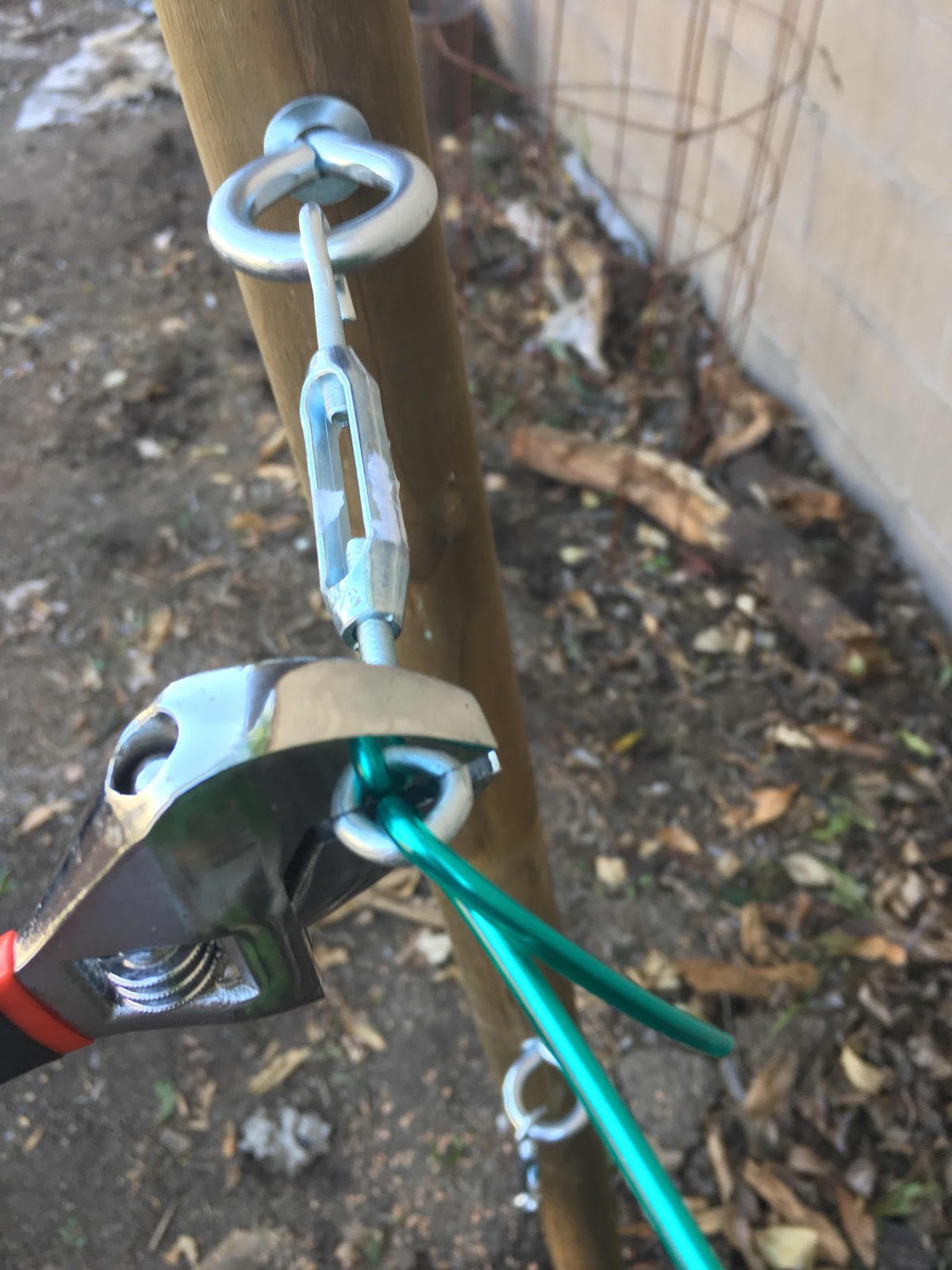 Securing wire to turnbuckle in espalier post