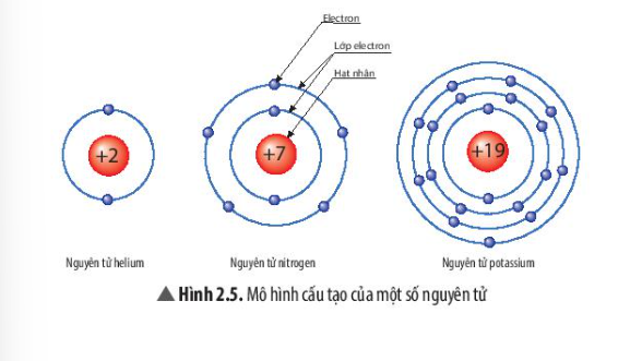 Câu hỏi trang 16 SGK TN&XH 7 CTST tập 1