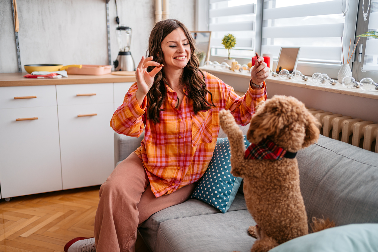 own-organic-dog-treats