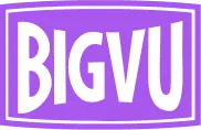 BigVU logo.
