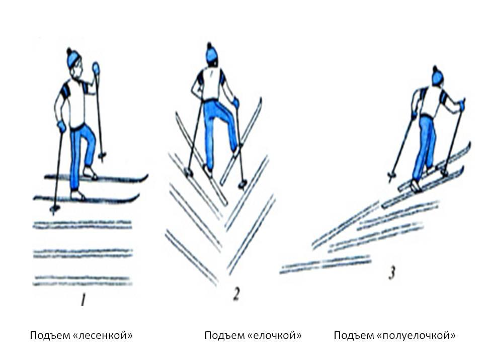http://5klass.net/datas/fizkultura/Konspekt-po-lyzhnoj-podgotovke/0010-010-Podem-lesenkoj.jpg