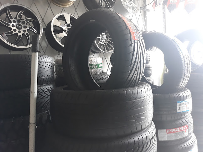 Aros Y Llantas Fenix - Tienda de neumáticos