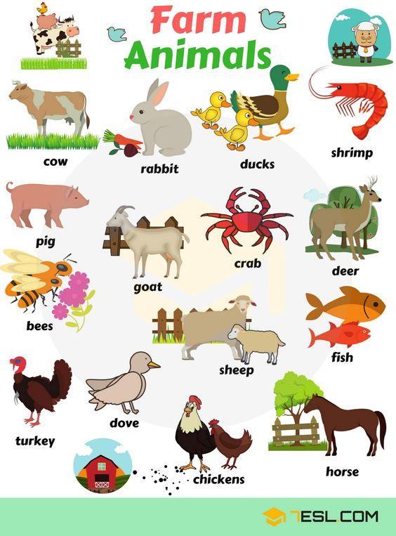 3.6Kshares Learn animals vocabulary/ animal names through pictures. Everybody loves animals, keeping them as pets, seeing them at the zoo or visiting …