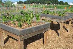 Image result for raised garden beds site:edu