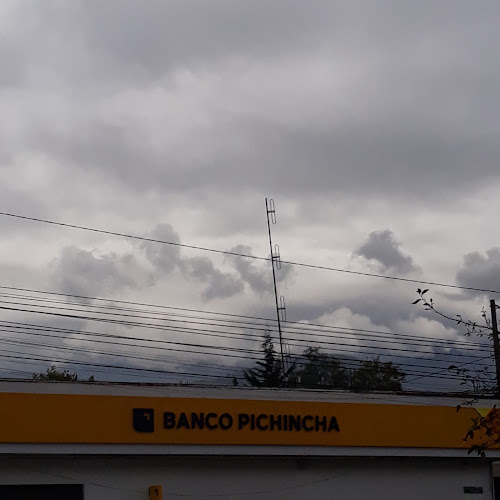 Opiniones de Sur Guajalo Punto Pago Banco del Pichincha en Quito - Banco