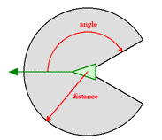 boids vision cone