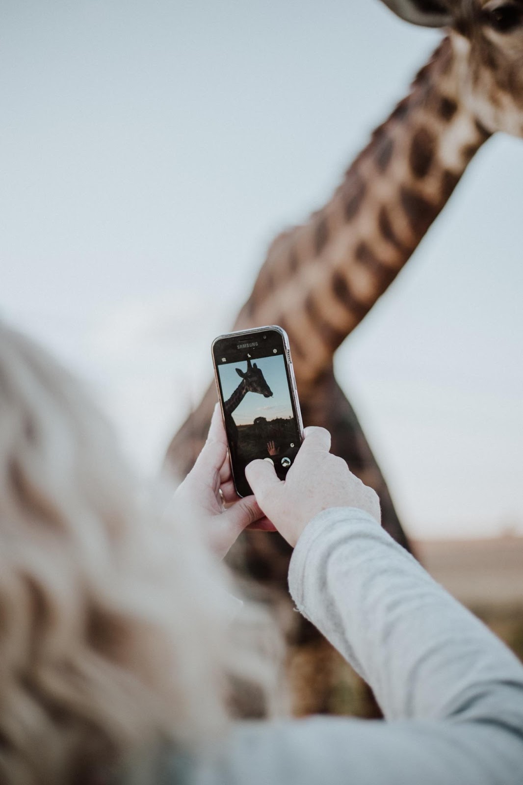 Make the most out of your cell phone's camera!