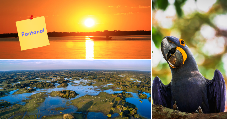 Pantanal