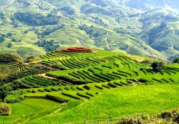 Tour du lịch Mộc Châu giá rẻ