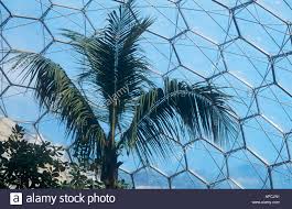 Image result for eden project pattern