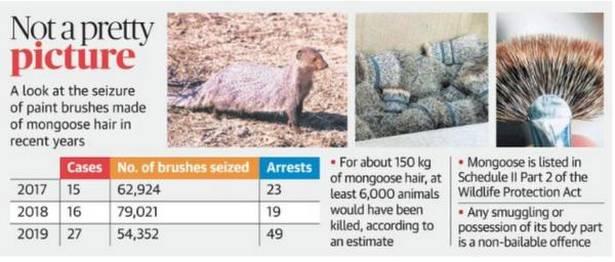 Bengaluru S Wildlife Crime Control Bureau Will Safeguard Western Ghats
