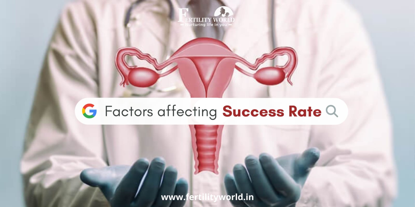 Which factor can affect the IVF success rate?