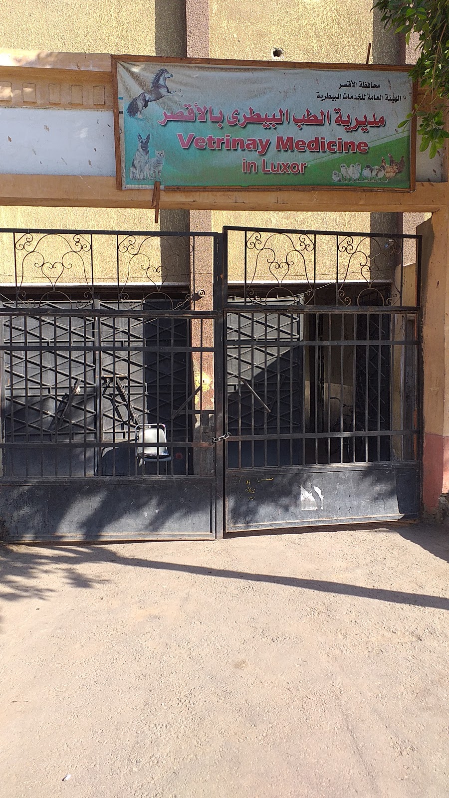 Veterinary Medicine in Luxor