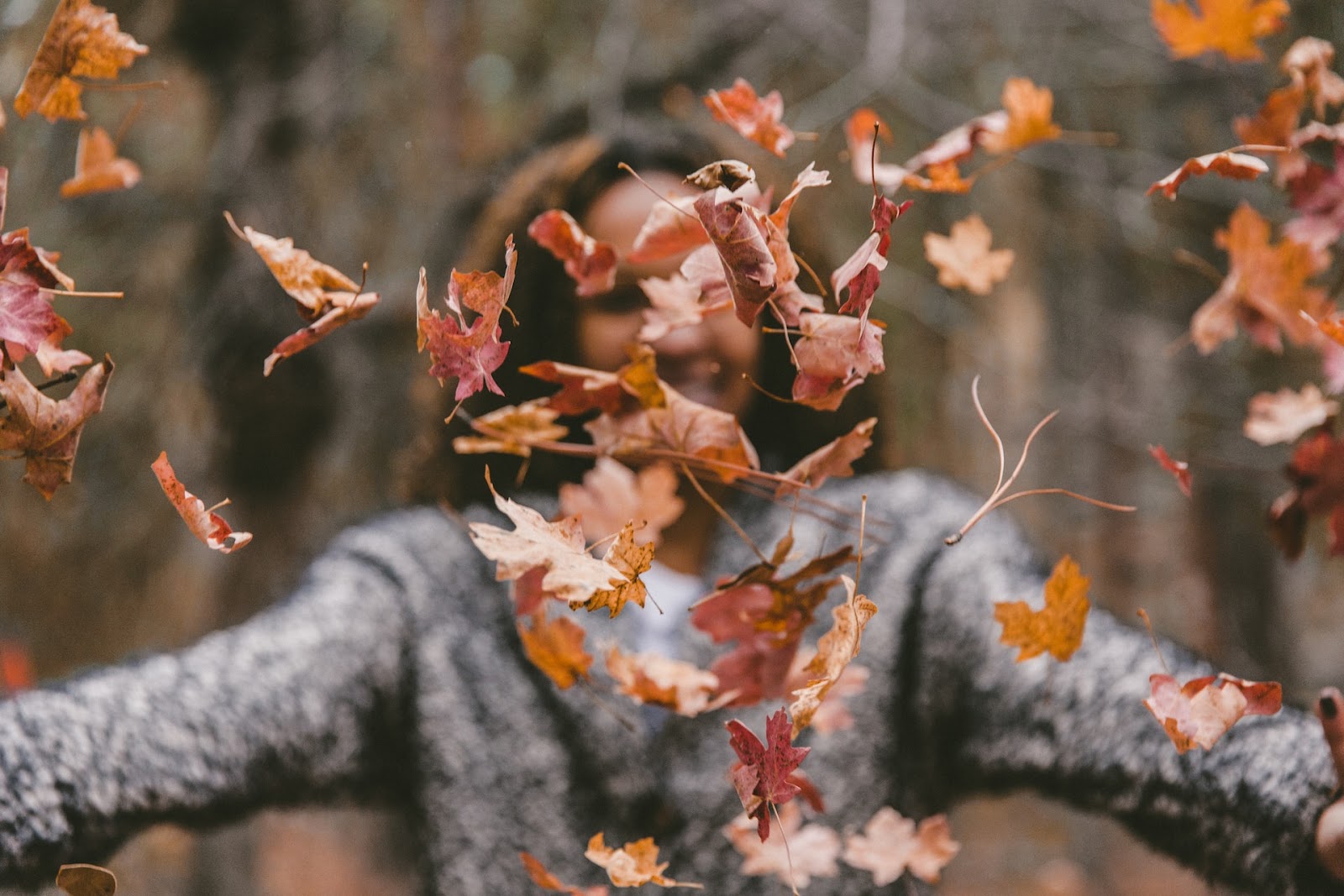 Autumn leaves photography for kids and teens