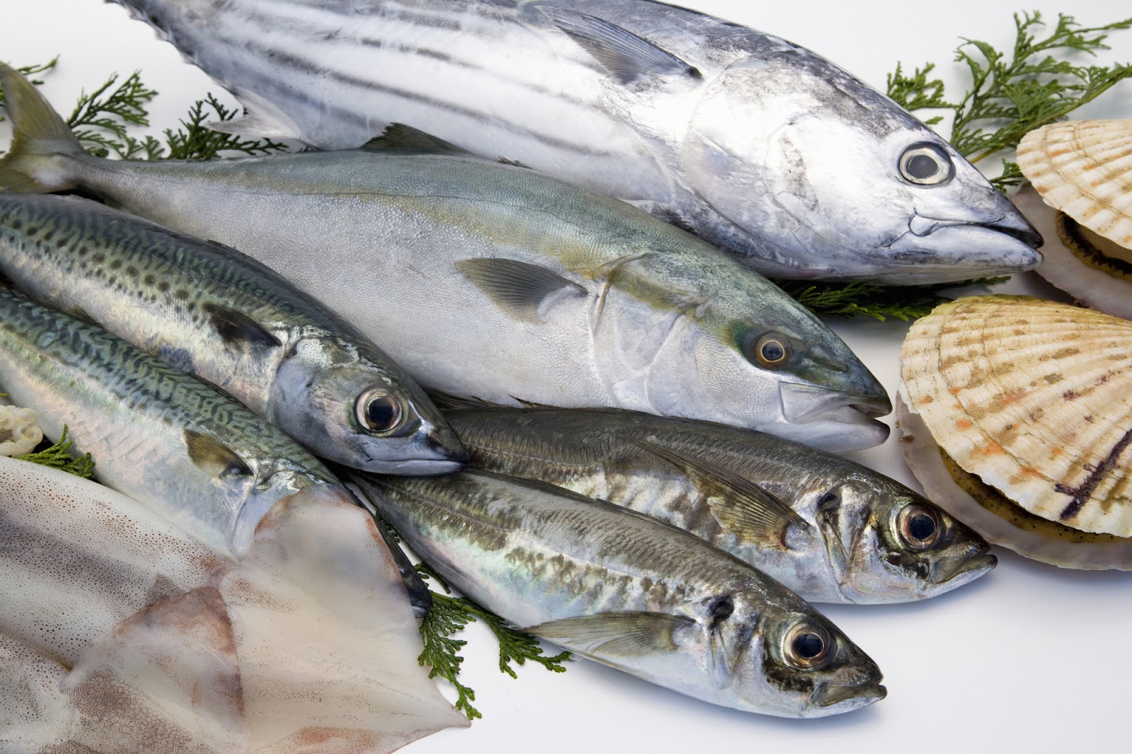 うま味のメリット②魚の生臭さを軽減