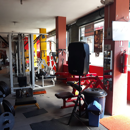 Muscle Gym - Gimnasio