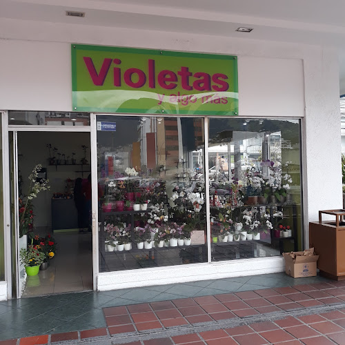 Centro Comercial Multicentro, Local Planta Baja, Av. 6 de Diciembre N 26-169, Quito 170513, Ecuador
