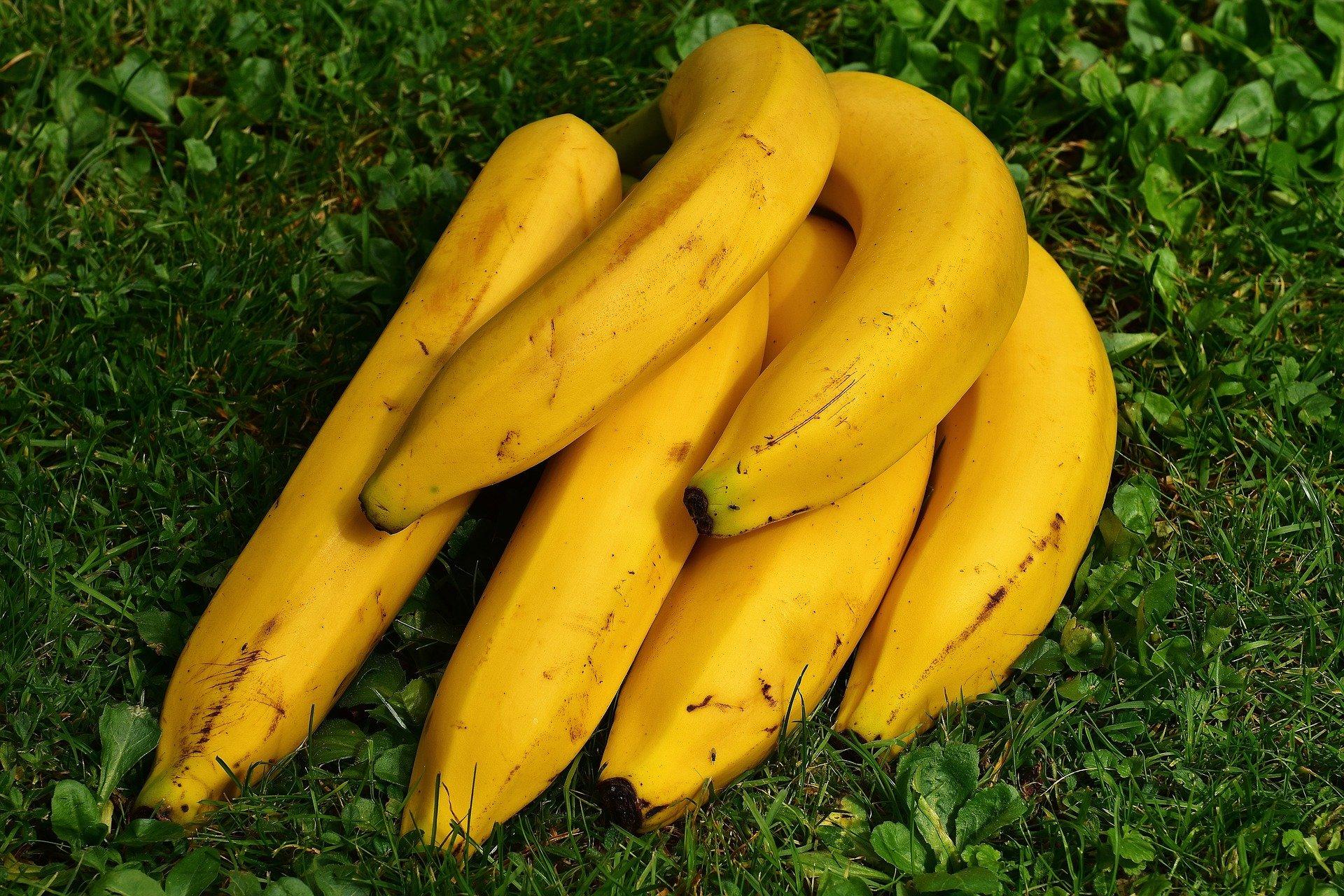 beneficios y propiedades del plátano