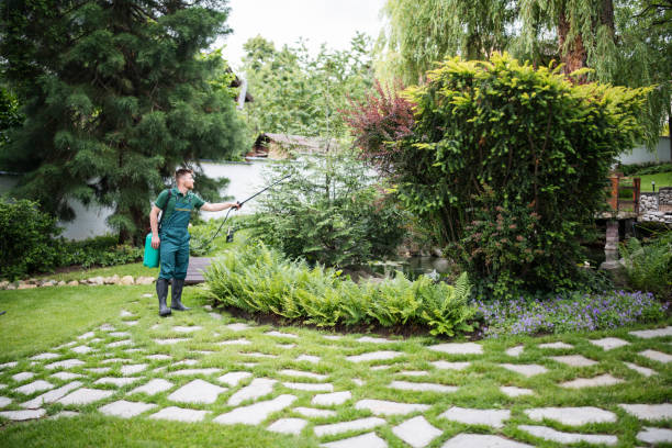 Can I use Roundup on weeds near a tree without killing the tree?