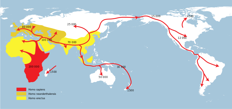 Map of the world illustrating the spread of homo sapiens around the globe.