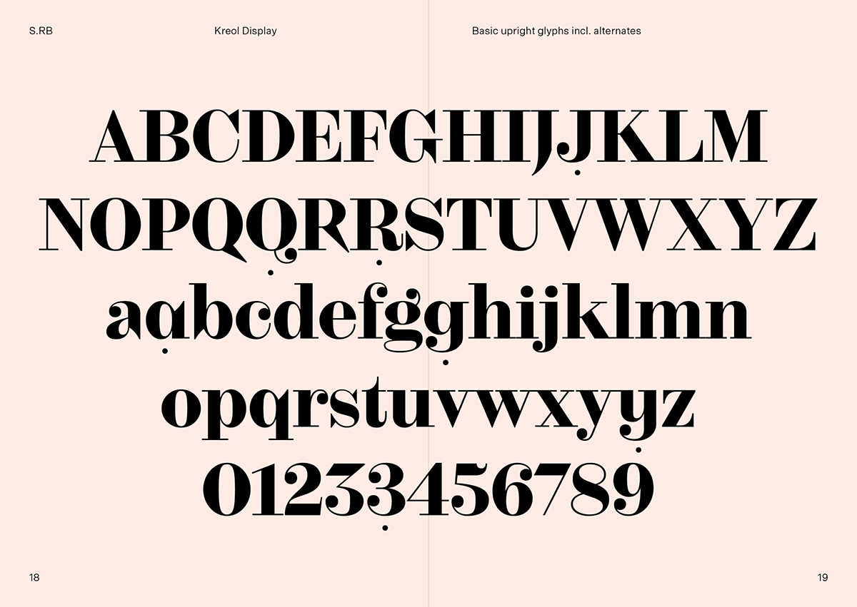 Brand Design brand identity logo modern serif typedesign Typefamily typography  