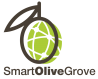 D:\Pictures\Projects\SmartOliveGrove\Logos\Smart-Olive-Grove-LOGO-small.png