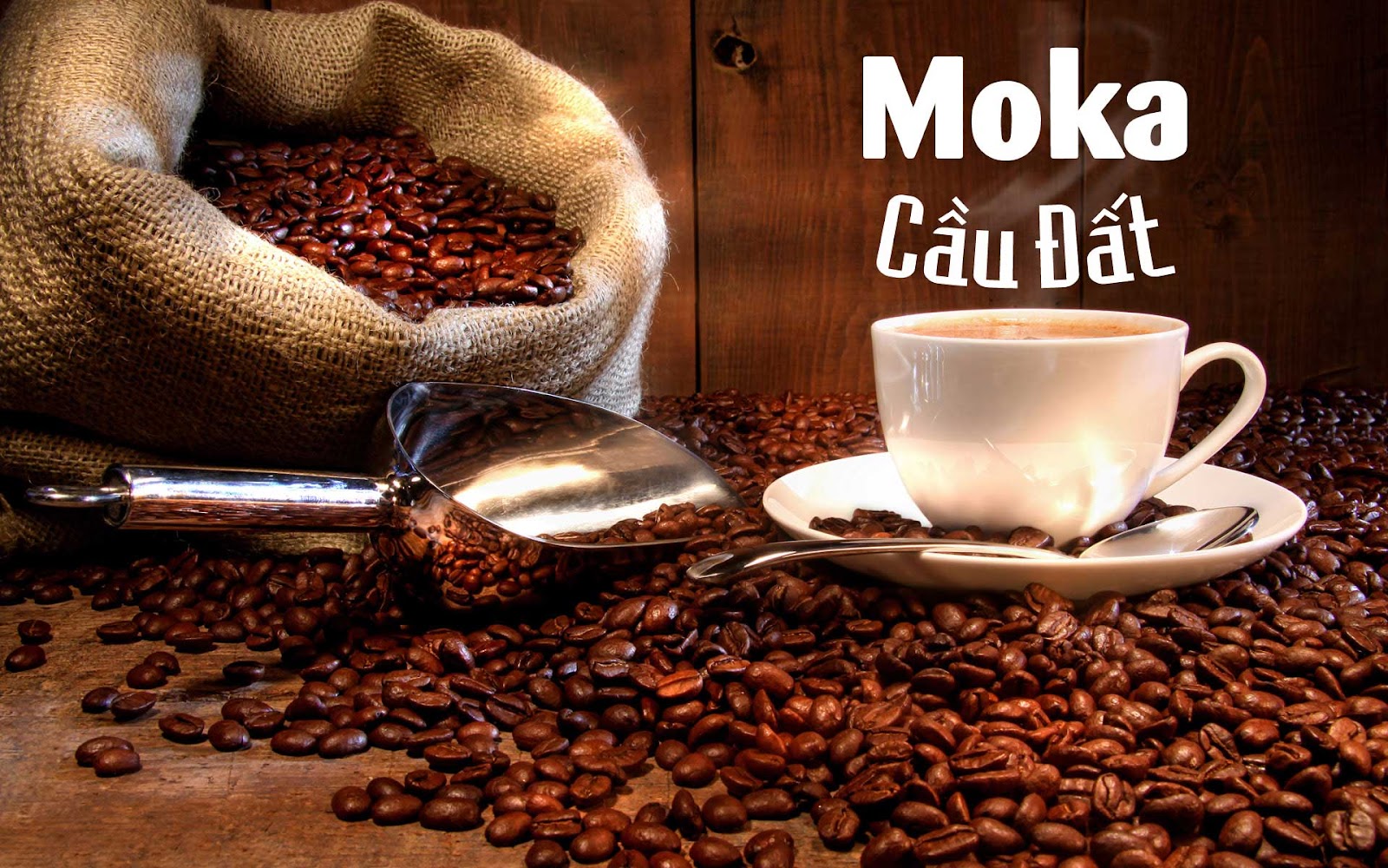 Cà phê rang xay Moka Cầu Đất - đặc sản Đà Lạt làm quà chất lượng tuyệt hảo.