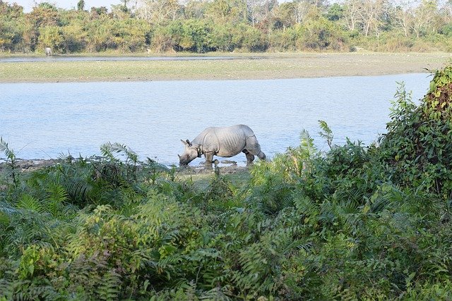 पर्यटक स्थल