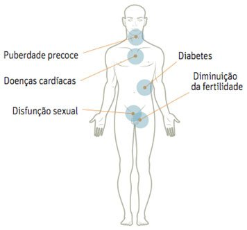 Doenças associadas ao uso prolongado de BPA