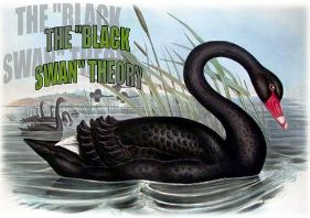 black swan theory