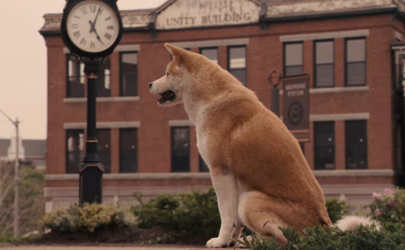 1. HACHI A DOG’S TALE  04