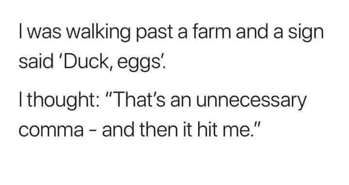 May be an image of text that says 'I was walking past a farm and a sign said 'Duck, eggs'. I thought: "That's an unnecessary comma and then it hit me."'