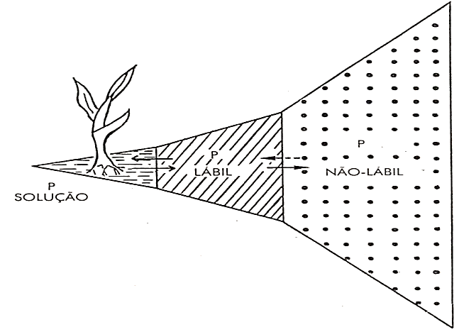 Formas e proporção de fósforo no solo, dividido em P solução, P lábil e P não-lábil